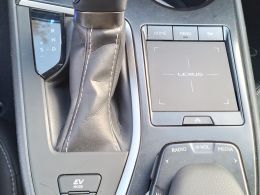 Lexus UX 250h Special Edition segunda mão Braga