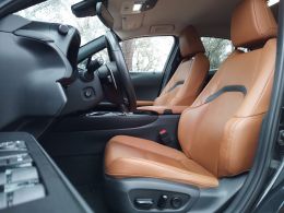 Lexus UX 300e Luxury segunda mão Braga