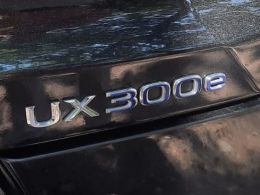 Lexus UX 300e Luxury segunda mão Braga
