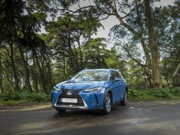 Lexus UX 300e Premium + segunda mão Lisboa