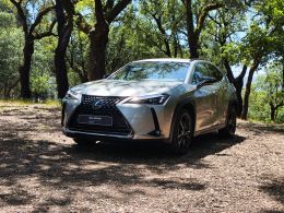 Lexus UX 250h Special Edition segunda mão Braga