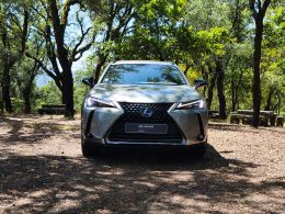 Lexus UX 250h Special Edition segunda mão Braga