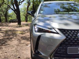 Lexus UX 250h Special Edition segunda mão Braga