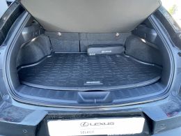 Lexus UX UX 250h Special Edition segunda mão Faro