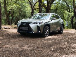 Lexus UX 250h Sport segunda mão Braga