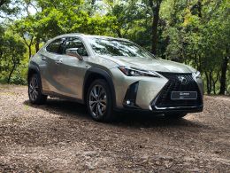 Lexus UX 250h Sport segunda mão Braga