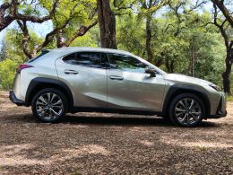 Lexus UX 250h Sport segunda mão Braga