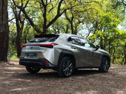 Lexus UX 250h Sport segunda mão Braga