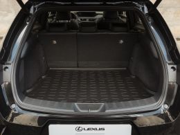 Lexus UX 300e Luxury + segunda mão Lisboa