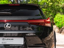 Lexus UX UX 250h Sport segunda mão Lisboa