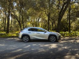 Lexus UX 250h F Sport segunda mão Lisboa