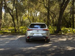 Lexus UX 250h F Sport segunda mão Lisboa