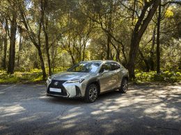 Lexus UX 250h F Sport segunda mão Lisboa