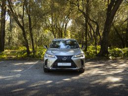 Lexus UX 250h F Sport segunda mão Lisboa