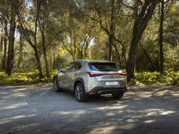 Lexus UX 250h F Sport segunda mão Lisboa