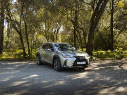 Lexus UX 250h F Sport segunda mão Lisboa