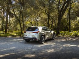 Lexus UX 250h F Sport segunda mão Lisboa