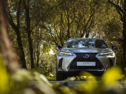 Lexus UX 250h F Sport segunda mão Lisboa