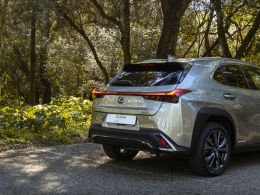 Lexus UX 250h F Sport segunda mão Lisboa