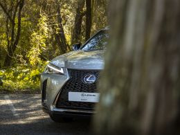 Lexus UX 250h F Sport segunda mão Lisboa