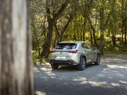 Lexus UX 250h F Sport segunda mão Lisboa