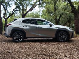 Lexus UX UX 250h Sport segunda mão Braga