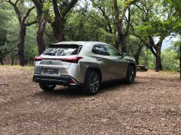 Lexus UX UX 250h Sport segunda mão Braga