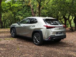 Lexus UX UX 250h Sport segunda mão Braga