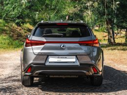 Lexus UX UX 250h F Sport segunda mão Lisboa