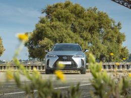 Lexus UX 250h Sport segunda mão Lisboa