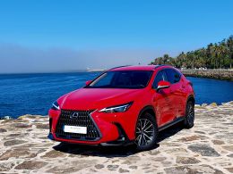 Lexus NX NX 450h+ Executive Plus segunda mão Porto