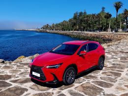 Lexus NX NX 450h+ Executive Plus segunda mão Porto