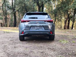 Lexus UX 250h Sport segunda mão Braga