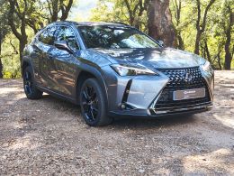 Lexus UX 250h Special Edition segunda mão Braga