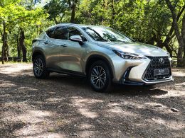 Lexus NX NX 450h+ Executive segunda mão Braga