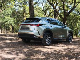 Lexus NX NX 450h+ Executive segunda mão Braga