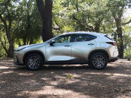 Lexus NX NX 450h+ Executive segunda mão Braga