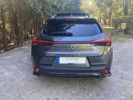 Lexus UX 250h Sport segunda mão Coimbra