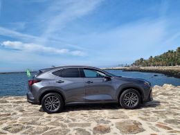 Lexus NX NX 450h+ Premium segunda mão Porto