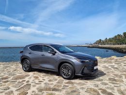 Lexus NX NX 450h+ Premium segunda mão Porto