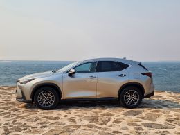 Lexus NX NX 450h+ Executive Plus segunda mão Porto