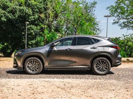 Lexus NX NX 450h+ Executive segunda mão Lisboa