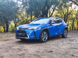 Lexus UX 300e Luxury segunda mão Braga