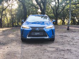 Lexus UX 300e Luxury segunda mão Braga