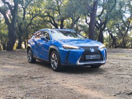 Lexus UX 300e Luxury segunda mão Braga