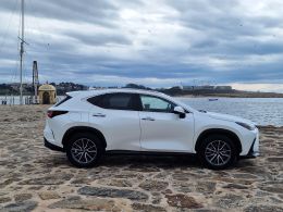 Lexus NX NX 450h+ Executive Plus segunda mão Porto