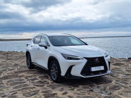 Lexus NX NX 450h+ Executive Plus segunda mão Porto