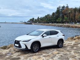 Lexus NX NX 450h+ Executive Plus segunda mão Porto