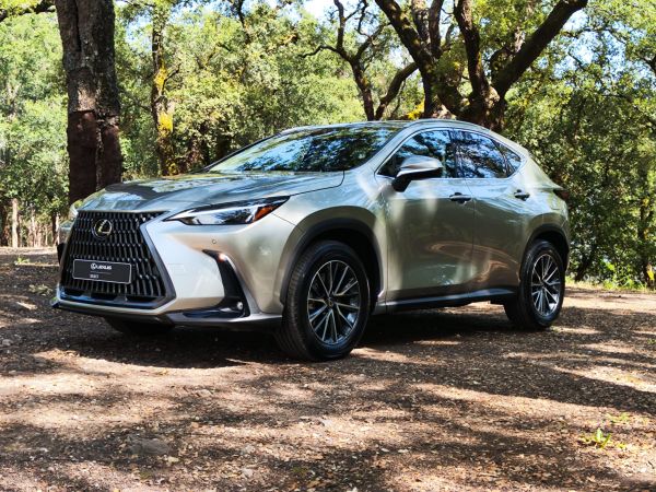 Lexus NX segunda mano Braga