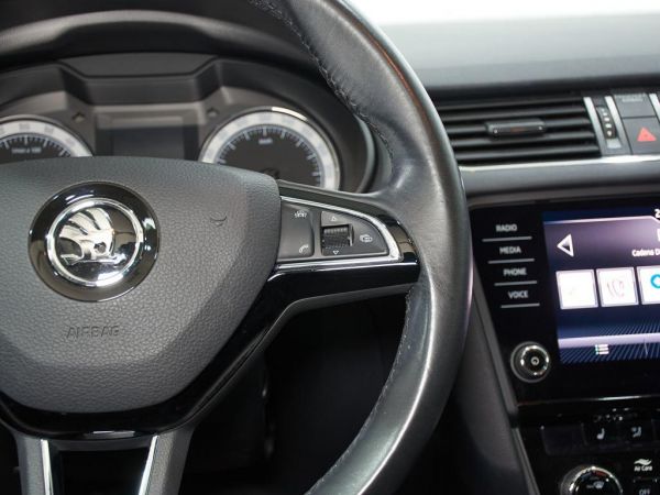 Skoda Scout 2.0 TDI CR DSG 4x4 135 kW (184 CV)